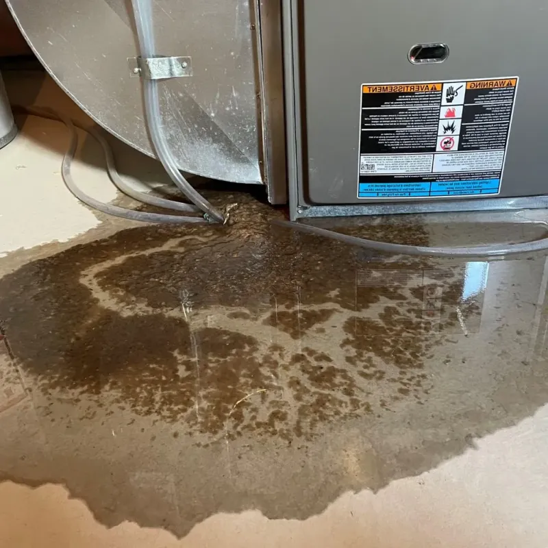 Pipe Burst and Leak Restoration in Fluvanna County, VA