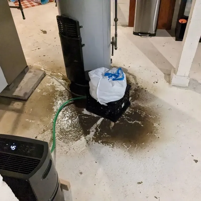 Sewage Backup Cleanup Service in Fluvanna County, VA